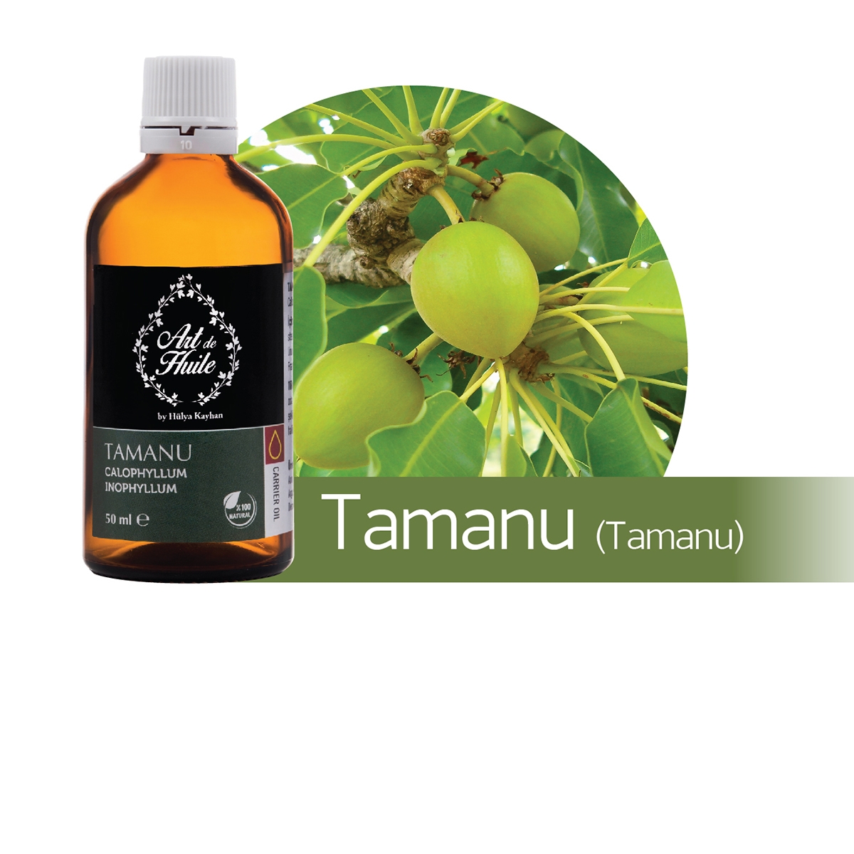 Tamanu Yağı Faydaları ve Kullanımı Tamanu Yağı Faydaları ve Kullanımı